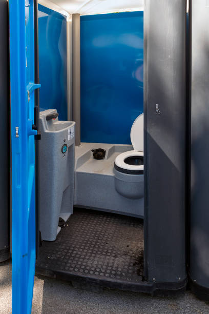 Best Portable bathroom rental  in Ladysmith, WI